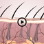At-Home Hair Mesotherapy Kit